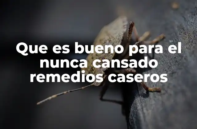 Que es Bueno para el Nunca Cansado Remedios Caseros