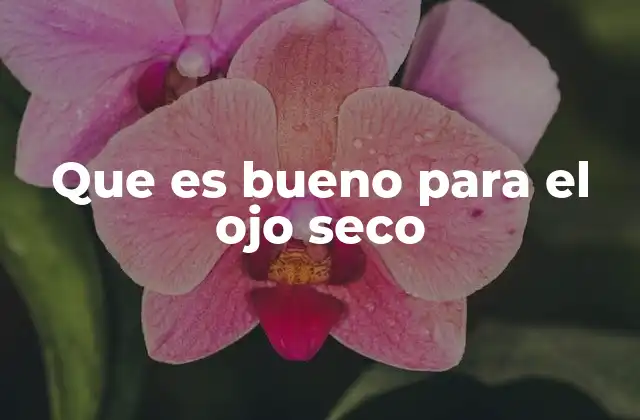 Que es Bueno para el Ojo Seco