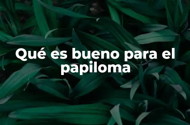 Qué es Bueno para el Papiloma