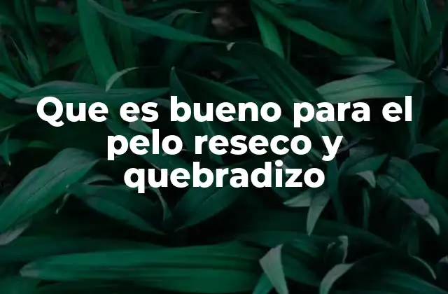 Que es Bueno para el Pelo Reseco y Quebradizo