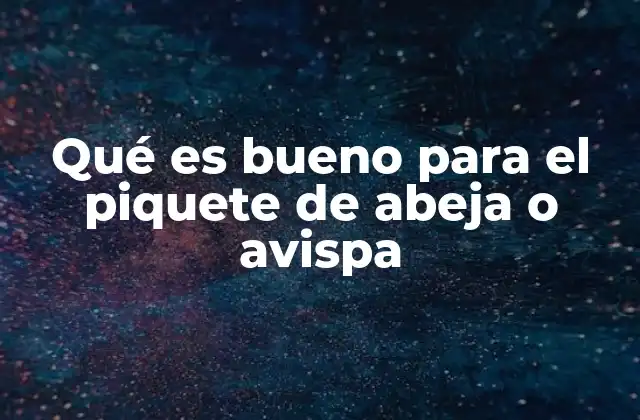 Qué es Bueno para el Piquete de Abeja o Avispa 2 Cómo actúa el cuerpo frente a una picadura de abeja o avispa