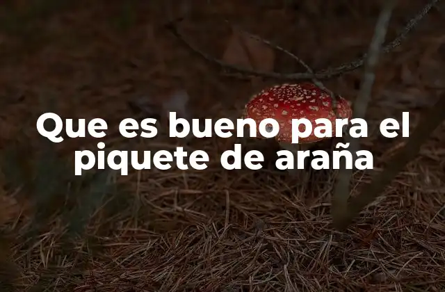 Que es Bueno para el Piquete de Araña