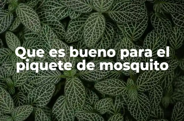 Que es Bueno para el Piquete de Mosquito