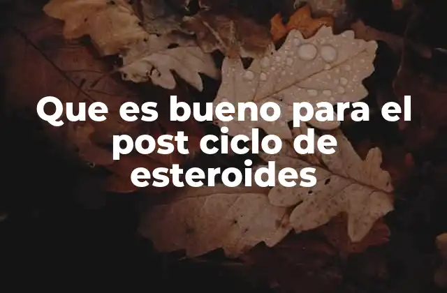 Que es Bueno para el Post Ciclo de Esteroides
