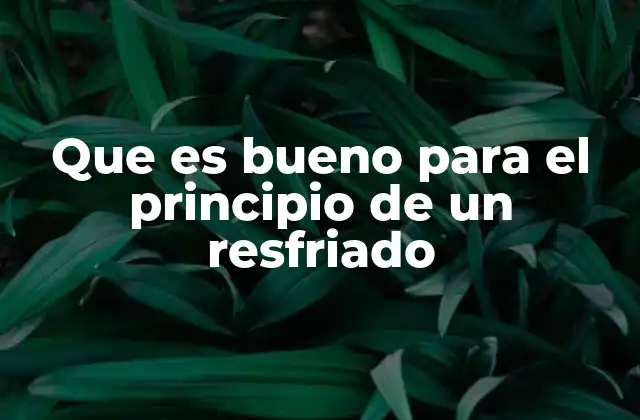 Que es Bueno para el Principio de un Resfriado 2 Cómo fortalecer el sistema inmunológico en las primeras etapas