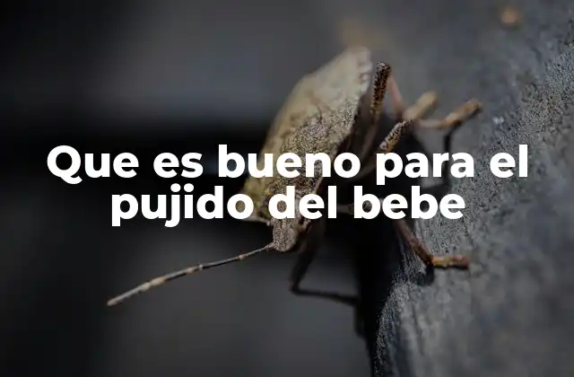 Cómo preparar el entorno para el pujido del bebé