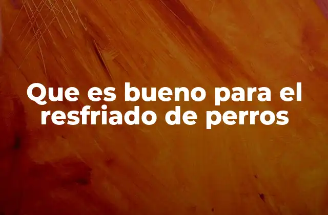Que es Bueno para el Resfriado de Perros