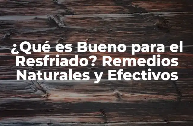 ¿qué es Bueno para el Resfriado? Remedios Naturales y Efectivos 2 ¿Qué Causa el Resfriado?