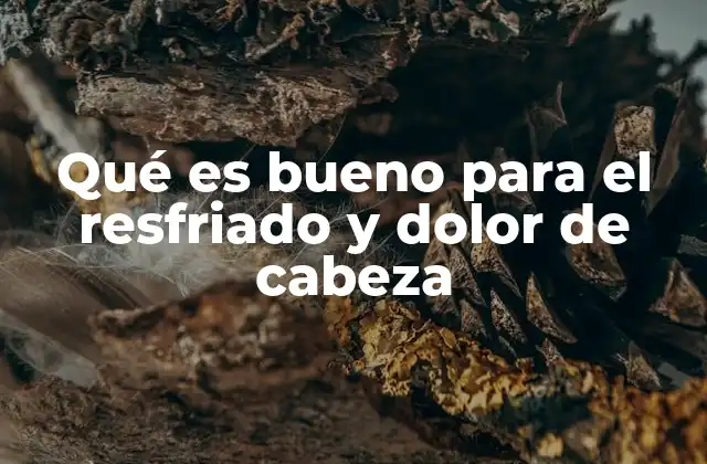 Qué es Bueno para el Resfriado y Dolor de Cabeza