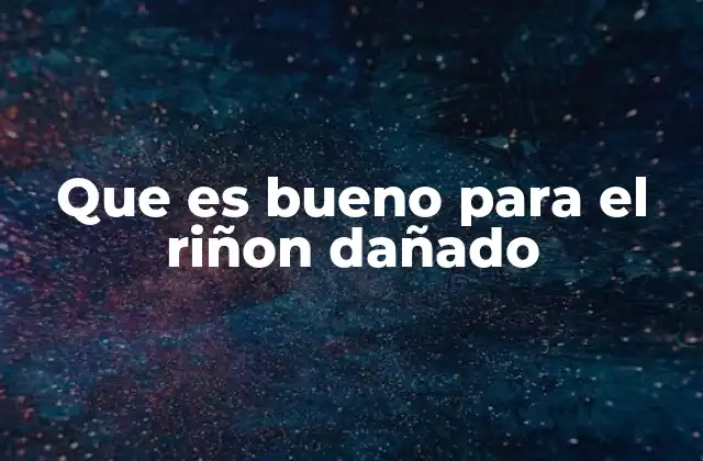 Que es Bueno para el Riñon Dañado