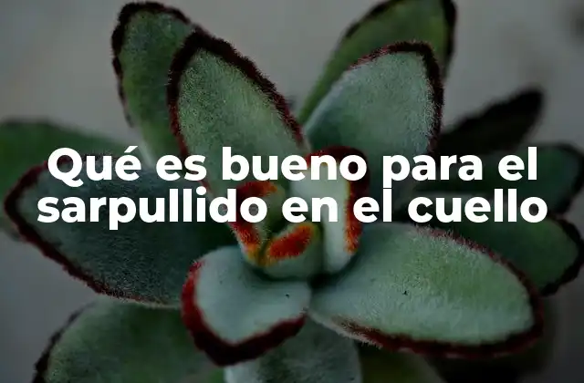 Remedios caseros para aliviar la irritación cutánea en el cuello