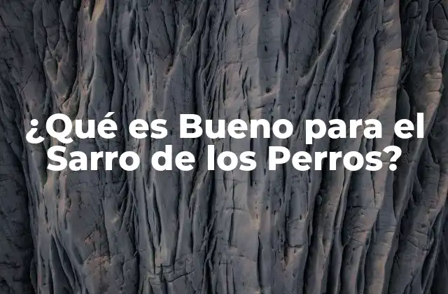 ¿qué es Bueno para el Sarro de los Perros?