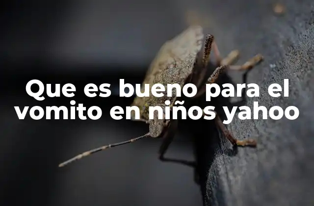 Cómo actuar ante un episodio de vómito en el hogar