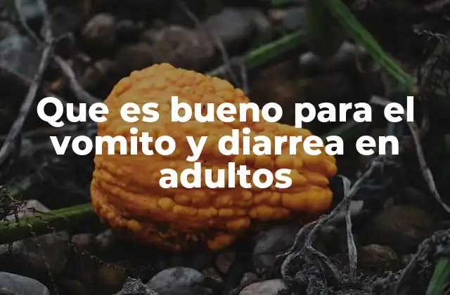 Que es Bueno para el Vomito y Diarrea en Adultos