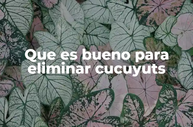 Que es Bueno para Eliminar Cucuyuts