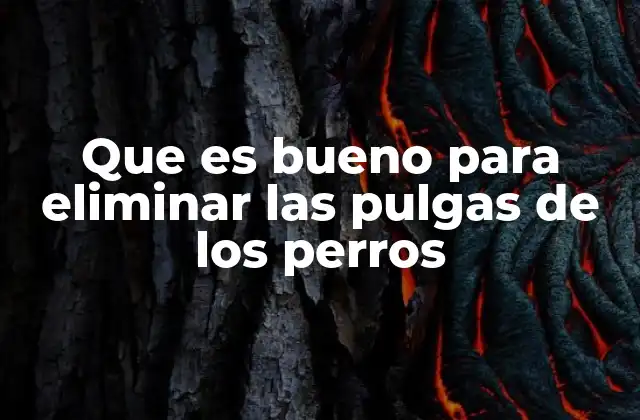 Que es Bueno para Eliminar las Pulgas de los Perros 2 Cómo actúan los tratamientos antipulgas en los perros