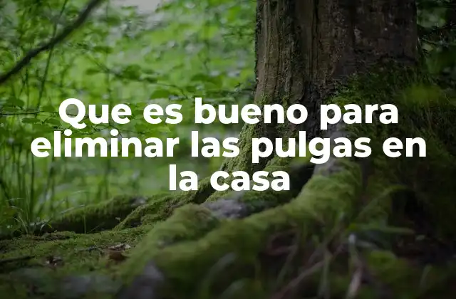 Que es Bueno para Eliminar las Pulgas en la Casa