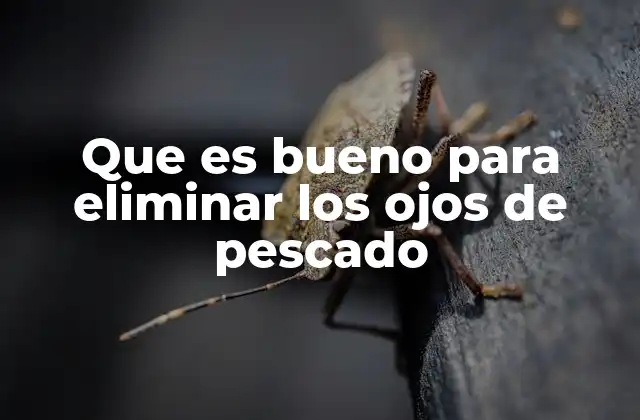 Herramientas y técnicas para preparar pescado con precisión