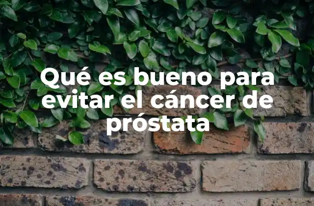 Qué es Bueno para Evitar el Cáncer de Próstata