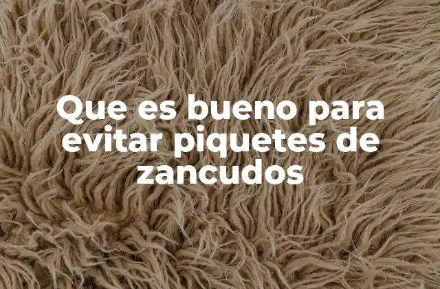Que es Bueno para Evitar Piquetes de Zancudos