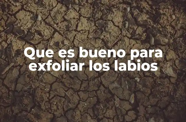 Que es Bueno para Exfoliar los Labios