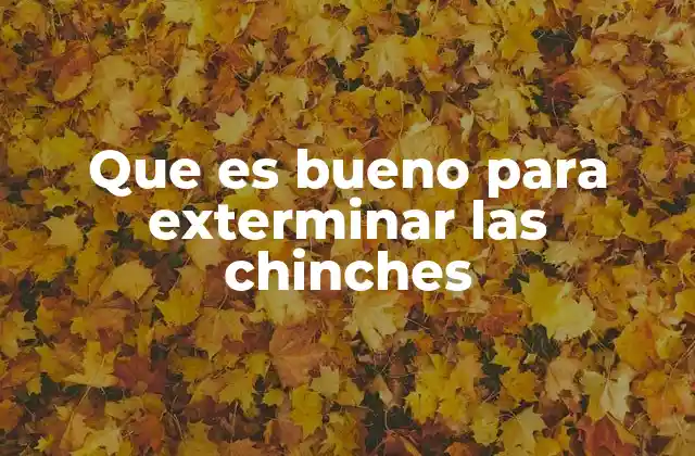 Que es Bueno para Exterminar las Chinches
