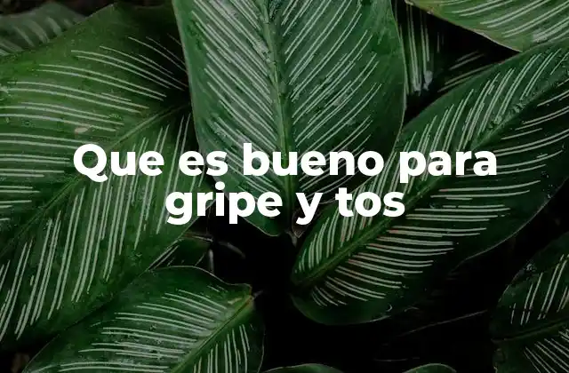 Que es Bueno para Gripe y Tos