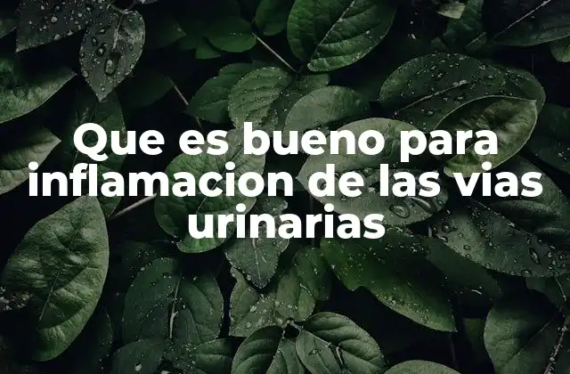 Que es Bueno para Inflamacion de las Vias Urinarias