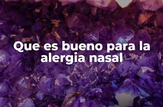 Que es Bueno para la Alergia Nasal