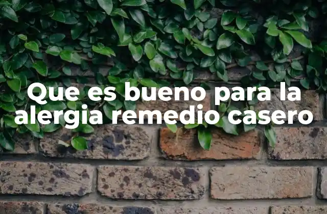 Que es Bueno para la Alergia Remedio Casero