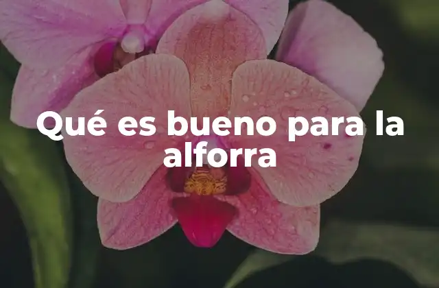 Qué es Bueno para la Alforra