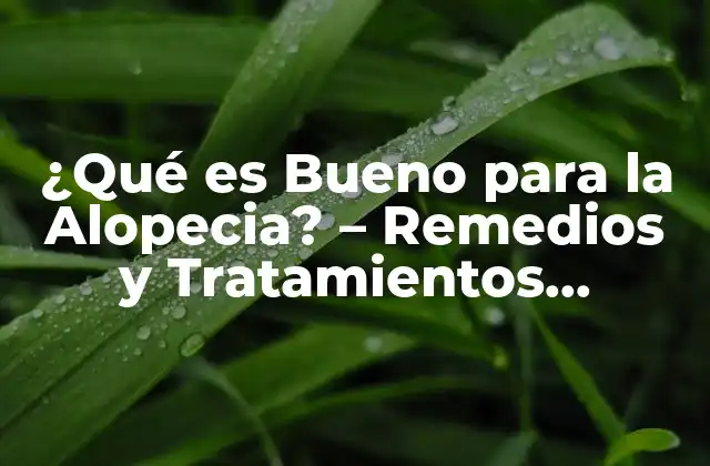 ¿qué es Bueno para la Alopecia? – Remedios y Tratamientos Naturales