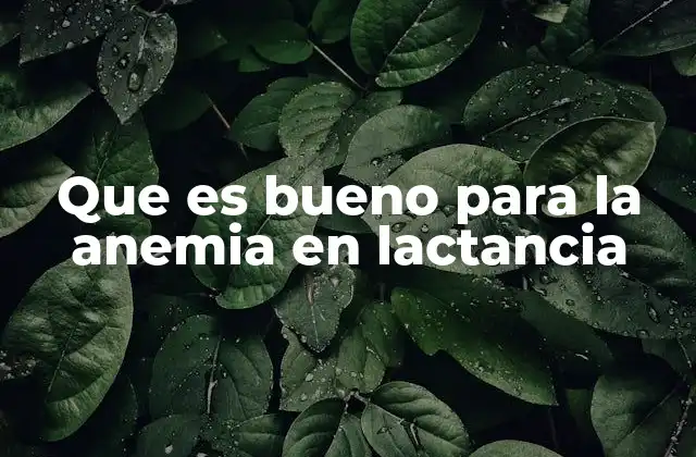 La importancia de una nutrición adecuada durante la lactancia