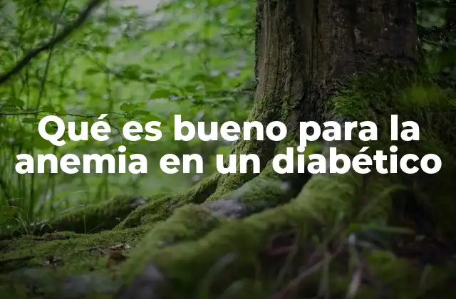 Qué es Bueno para la Anemia en un Diabético