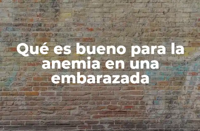 Qué es Bueno para la Anemia en una Embarazada