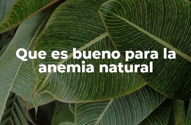 Que es Bueno para la Anemia Natural