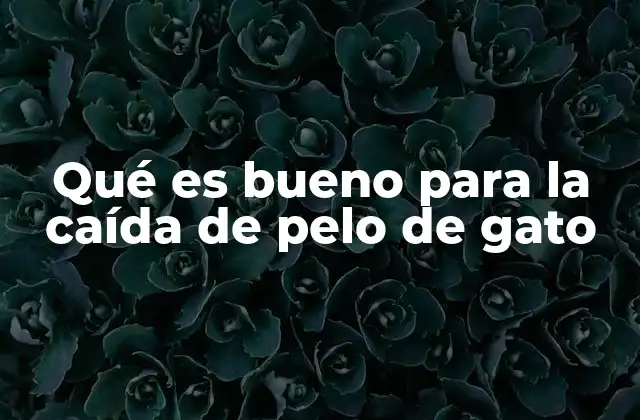Qué es Bueno para la Caída de Pelo de Gato 2 Cómo mantener el pelaje de tu gato saludable