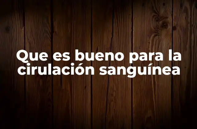 Que es Bueno para la Cirulación Sanguínea