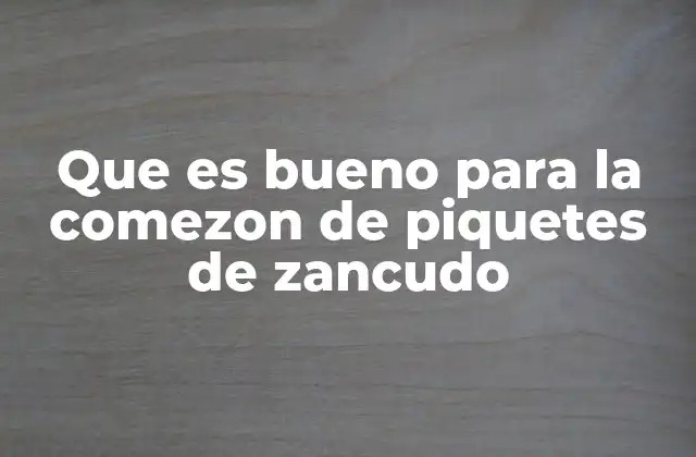 Que es Bueno para la Comezon de Piquetes de Zancudo