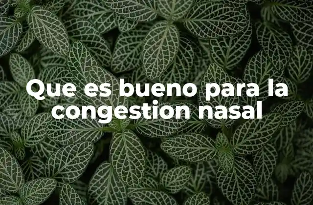 Que es Bueno para la Congestion Nasal