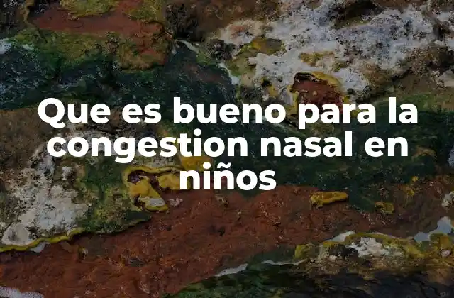 Que es Bueno para la Congestion Nasal en Niños