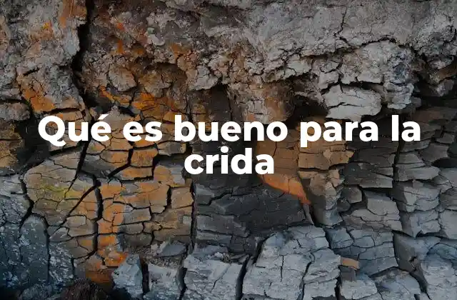 Qué es Bueno para la Crida