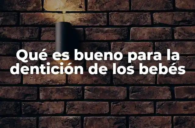 Qué es Bueno para la Dentición de los Bebés 2 Cómo apoyar a los bebés durante el proceso de dentición