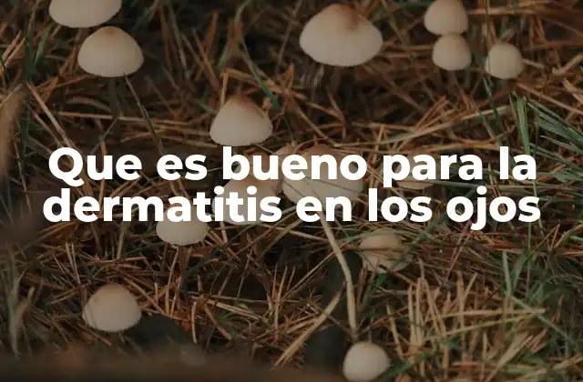 Que es Bueno para la Dermatitis en los Ojos