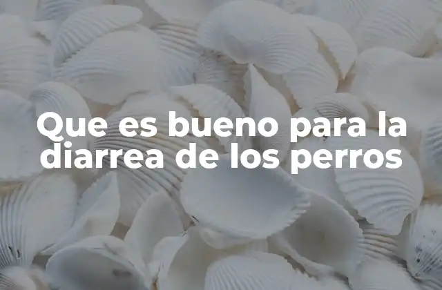 Que es Bueno para la Diarrea de los Perros