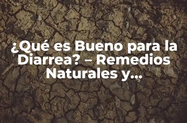 ¿qué es Bueno para la Diarrea? – Remedios Naturales y Tratamientos Efectivos