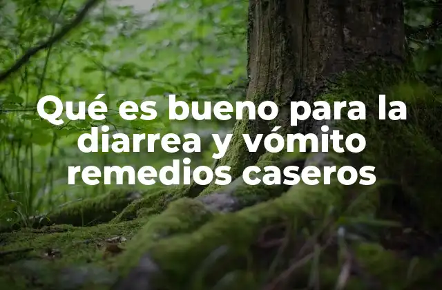 Qué es Bueno para la Diarrea y Vómito Remedios Caseros