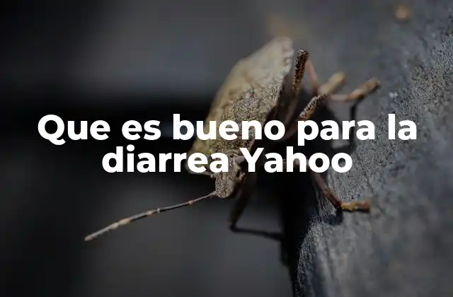 Que es Bueno para la Diarrea Yahoo