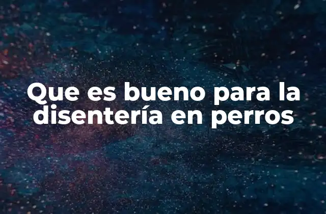 Que es Bueno para la Disentería en Perros
