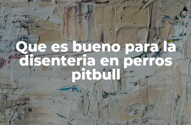 Que es Bueno para la Disenteria en Perros Pitbull